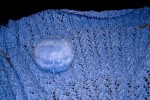 IMG_68731.jpg