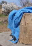 DSC08307.JPG