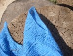 DSC08310.JPG