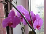 Копия Изображение 057.jpg