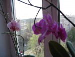 Копия Изображение 058.jpg