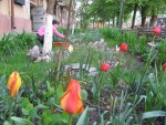 IMG_0710.JPG