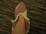 IMG_2837a.jpg