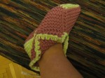 IMG_2838a.jpg