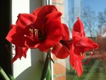 april 065.jpg