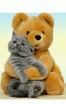 111.gif