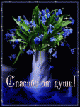 338f54803246.gif