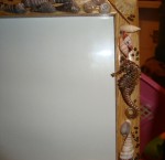 DSC02067.JPG